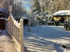 winter